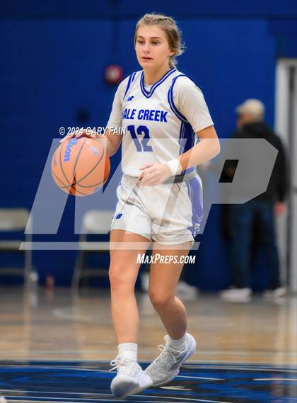 Thumbnail 1 in Rhea County @ Sale Creek  (Battle at the Creek) photogallery.