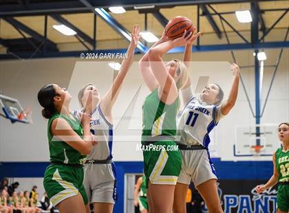 Thumbnail 3 in Rhea County @ Sale Creek  (Battle at the Creek) photogallery.
