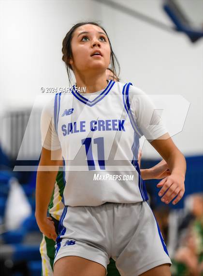 Thumbnail 1 in Rhea County @ Sale Creek  (Battle at the Creek) photogallery.