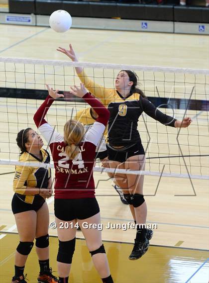 Thumbnail 3 in Lick-Wilmerding vs. Cardinal Newman (Nor-Cal Invitational) photogallery.