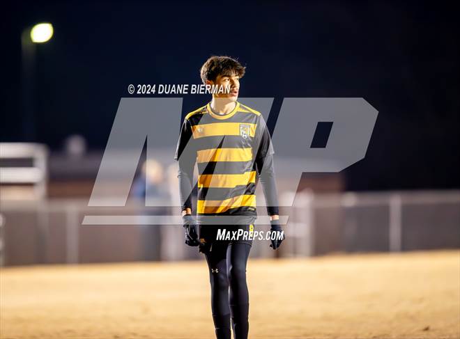 null - Photo 11