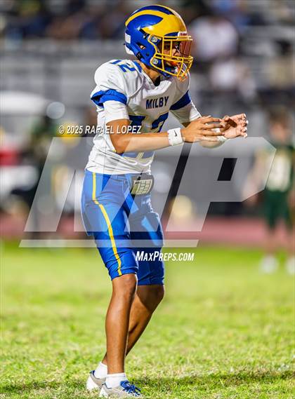 Thumbnail 1 in Milby @ Sharpstown photogallery.