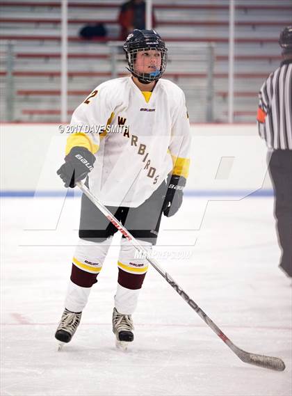 Thumbnail 3 in Appleton United [Appleton West/Appleton East/Appleton North] vs Fond du Lac (MHSAA Eastern Shores Conference Tournament ) photogallery.