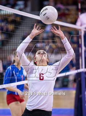 Cherry Creek vs. Chatfield (CHSAA 5A Playoff)