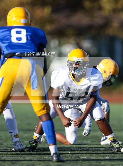 Thumbnail 3 in Live Oak @ Oak Grove photogallery.