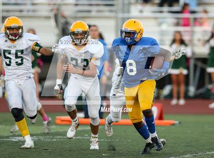 Thumbnail 1 in Live Oak @ Oak Grove photogallery.