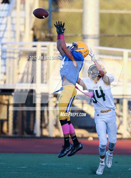 Thumbnail 2 in Live Oak @ Oak Grove photogallery.