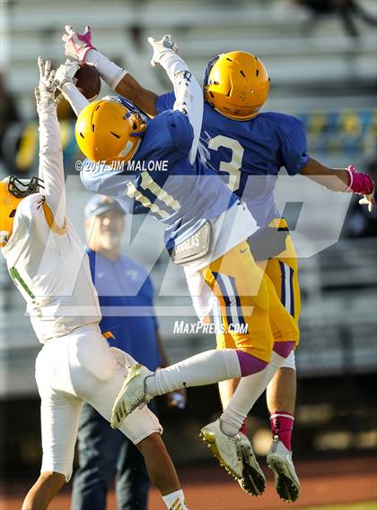 Thumbnail 2 in Live Oak @ Oak Grove photogallery.