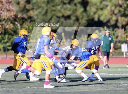 Thumbnail 1 in Live Oak @ Oak Grove photogallery.
