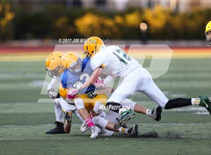 Thumbnail 3 in Live Oak @ Oak Grove photogallery.
