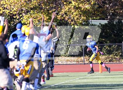 Thumbnail 3 in Live Oak @ Oak Grove photogallery.