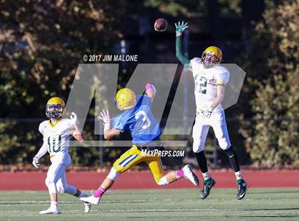 Thumbnail 2 in Live Oak @ Oak Grove photogallery.
