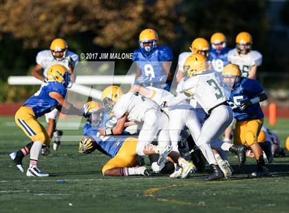 Thumbnail 3 in Live Oak @ Oak Grove photogallery.
