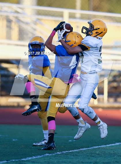 Thumbnail 1 in Live Oak @ Oak Grove photogallery.