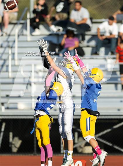 Thumbnail 2 in Live Oak @ Oak Grove photogallery.