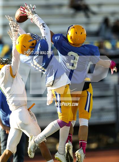 Thumbnail 1 in Live Oak @ Oak Grove photogallery.