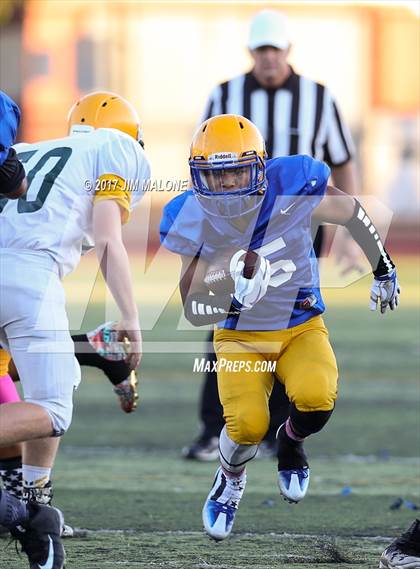 Thumbnail 3 in Live Oak @ Oak Grove photogallery.