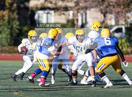 Thumbnail 3 in Live Oak @ Oak Grove photogallery.