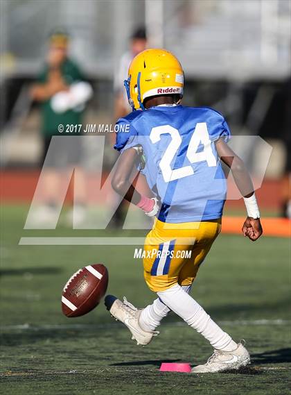 Thumbnail 3 in Live Oak @ Oak Grove photogallery.