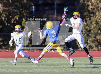 Thumbnail 1 in Live Oak @ Oak Grove photogallery.