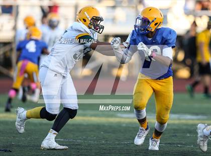 Thumbnail 3 in Live Oak @ Oak Grove photogallery.