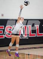 Photo from the gallery "Independence @ Gainesville"