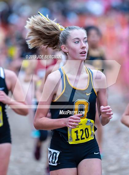 Thumbnail 1 in CIF State Cross Country Championships (Girls D4 Race) photogallery.