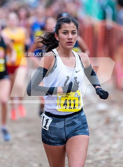Thumbnail 2 in CIF State Cross Country Championships (Girls D4 Race) photogallery.