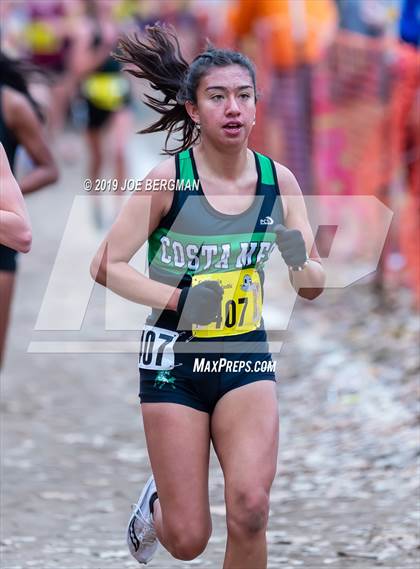 Thumbnail 2 in CIF State Cross Country Championships (Girls D4 Race) photogallery.