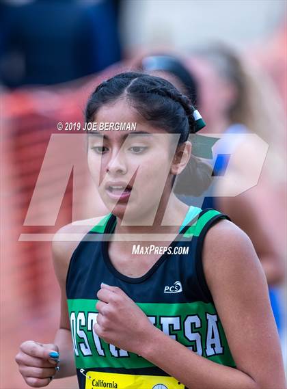 Thumbnail 2 in CIF State Cross Country Championships (Girls D4 Race) photogallery.