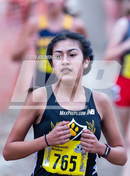 Thumbnail 2 in CIF State Cross Country Championships (Girls D4 Race) photogallery.