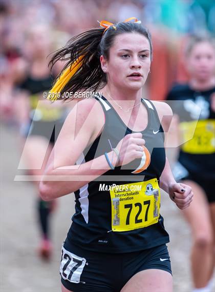 Thumbnail 1 in CIF State Cross Country Championships (Girls D4 Race) photogallery.