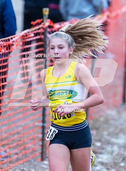 Thumbnail 2 in CIF State Cross Country Championships (Girls D4 Race) photogallery.