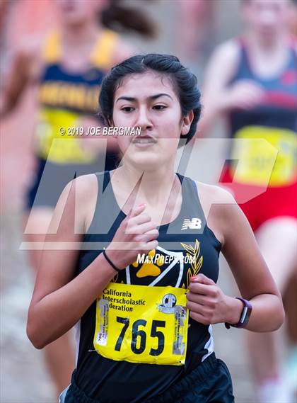 Thumbnail 1 in CIF State Cross Country Championships (Girls D4 Race) photogallery.