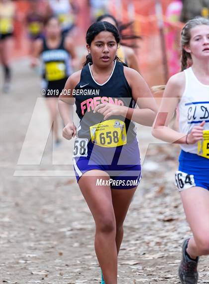 Thumbnail 3 in CIF State Cross Country Championships (Girls D4 Race) photogallery.