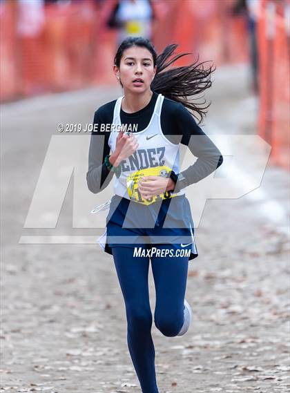 Thumbnail 1 in CIF State Cross Country Championships (Girls D4 Race) photogallery.