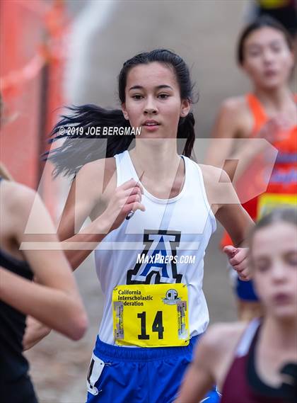 Thumbnail 2 in CIF State Cross Country Championships (Girls D4 Race) photogallery.