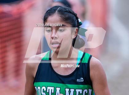 Thumbnail 1 in CIF State Cross Country Championships (Girls D4 Race) photogallery.
