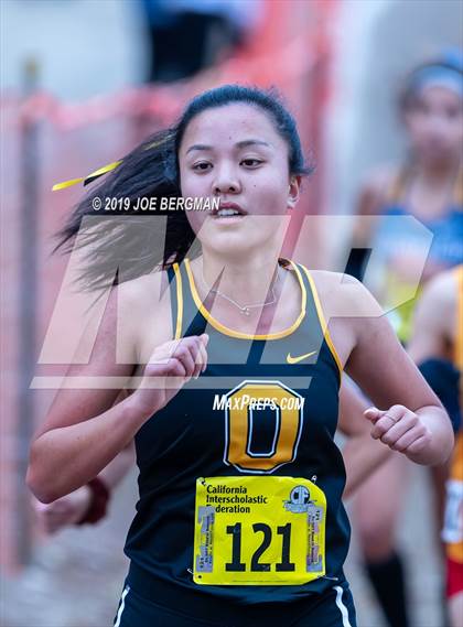 Thumbnail 2 in CIF State Cross Country Championships (Girls D4 Race) photogallery.