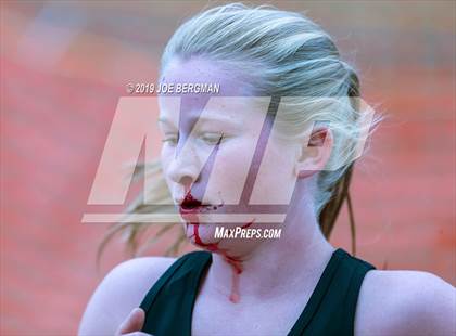 Thumbnail 3 in CIF State Cross Country Championships (Girls D4 Race) photogallery.