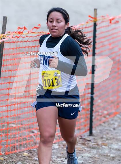 Thumbnail 2 in CIF State Cross Country Championships (Girls D4 Race) photogallery.