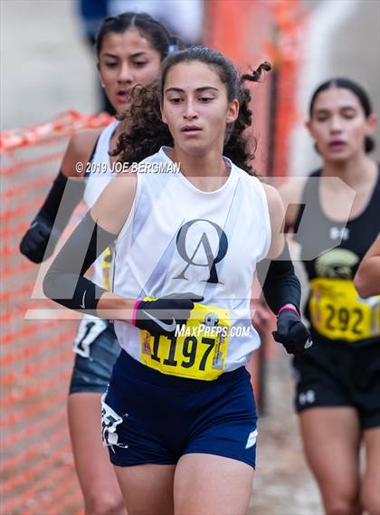 Thumbnail 1 in CIF State Cross Country Championships (Girls D4 Race) photogallery.