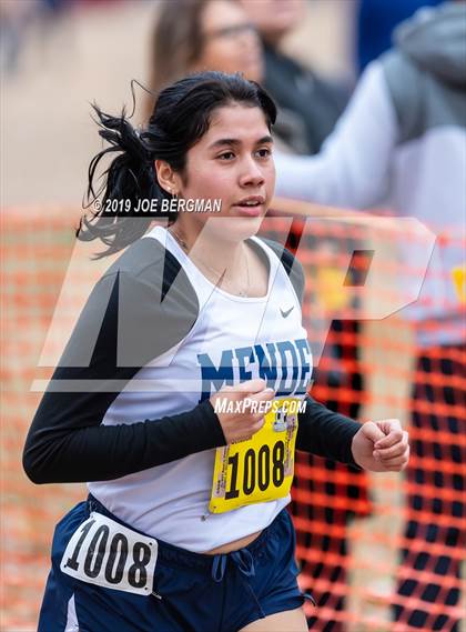 Thumbnail 2 in CIF State Cross Country Championships (Girls D4 Race) photogallery.
