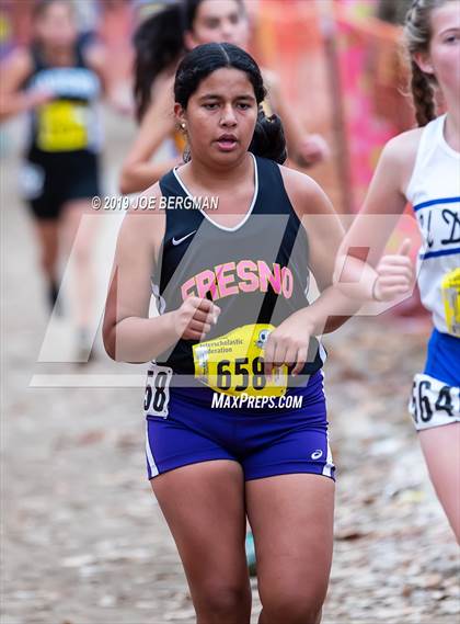 Thumbnail 1 in CIF State Cross Country Championships (Girls D4 Race) photogallery.