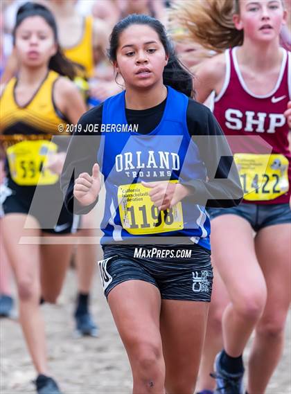 Thumbnail 3 in CIF State Cross Country Championships (Girls D4 Race) photogallery.