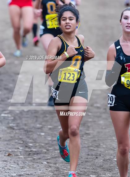 Thumbnail 3 in CIF State Cross Country Championships (Girls D4 Race) photogallery.
