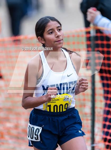 Thumbnail 1 in CIF State Cross Country Championships (Girls D4 Race) photogallery.