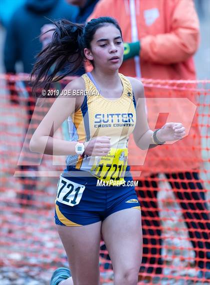 Thumbnail 2 in CIF State Cross Country Championships (Girls D4 Race) photogallery.