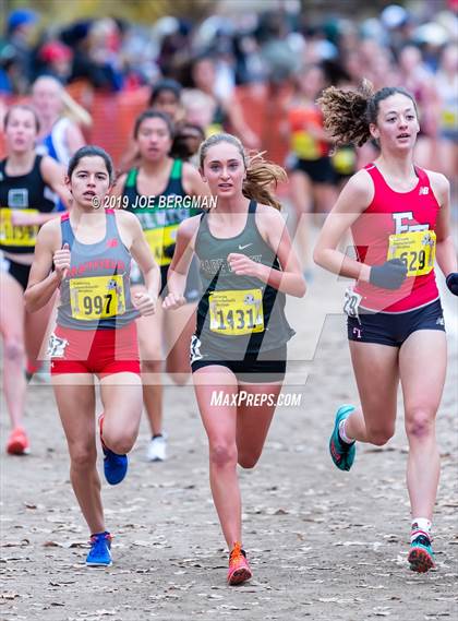 Thumbnail 1 in CIF State Cross Country Championships (Girls D4 Race) photogallery.
