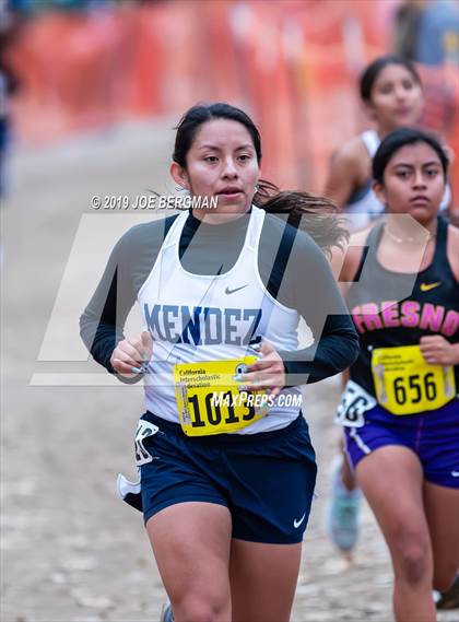 Thumbnail 2 in CIF State Cross Country Championships (Girls D4 Race) photogallery.